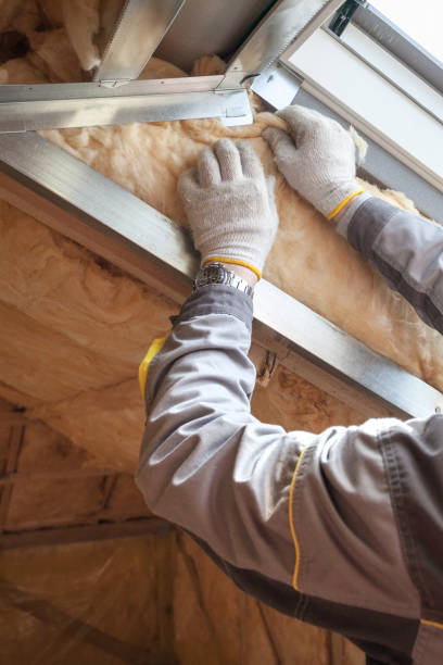 Best Types of Insulation in Fruitdale, CA