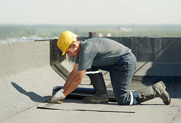 Best Insulation Installation Services in Fruitdale, CA